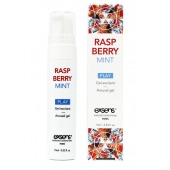 Возбуждающий гель Raspberry Mint с ароматом малины и мяты - 15 мл. - Exsens - купить с доставкой в Старом Осколе