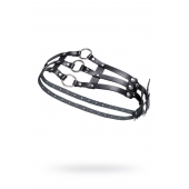 Черный кожаный пояс с кольцами - Pecado - купить с доставкой в Старом Осколе