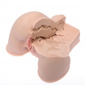 Мастурбатор-полуторс Naked Factory Kate - Naked Factory - в Старом Осколе купить с доставкой