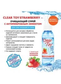 Очищающий спрей для игрушек CLEAR TOY Strawberry - 100 мл. - Биоритм - купить с доставкой в Старом Осколе