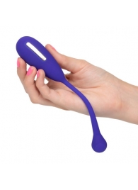 Фиолетовый шарик с электростимуляцией и вибрацией Intimate E-Stimulator Remote Kegel Exerciser - California Exotic Novelties - купить с доставкой в Старом Осколе