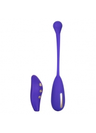 Фиолетовый шарик с электростимуляцией и вибрацией Intimate E-Stimulator Remote Kegel Exerciser - California Exotic Novelties - купить с доставкой в Старом Осколе