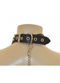 Ошейник  Веселый Роджер - Sitabella - купить с доставкой в Старом Осколе