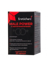 Капсулы для мужчин Erotichard male power с пантогематогеном - 20 капсул (0,370 гр.) - Erotic Hard - купить с доставкой в Старом Осколе