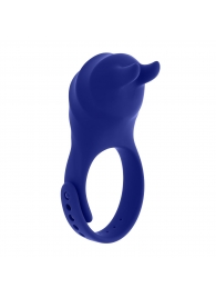 Синее эрекционное виброкольцо с клиторальной подушечкой и пультом ДУ Adjustable Fun Ring - Zero Tolerance - в Старом Осколе купить с доставкой