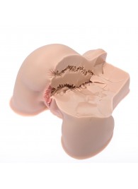 Мастурбатор-полуторс Naked Factory Kate - Naked Factory - в Старом Осколе купить с доставкой