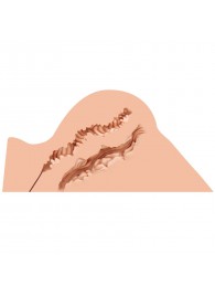 Мастурбатор-полуторс Naked Factory Hannah - Naked Factory - в Старом Осколе купить с доставкой