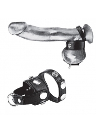 Утяжка для мошонки и пениса Cock Ring With 1  Ball Stretcher And Optional Weight Ring - BlueLine - купить с доставкой в Старом Осколе