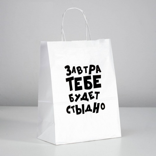Подарочный пакет  Завтра тебе будет стыдно  - 30 х 24 см. - UPAK LAND - купить с доставкой в Старом Осколе