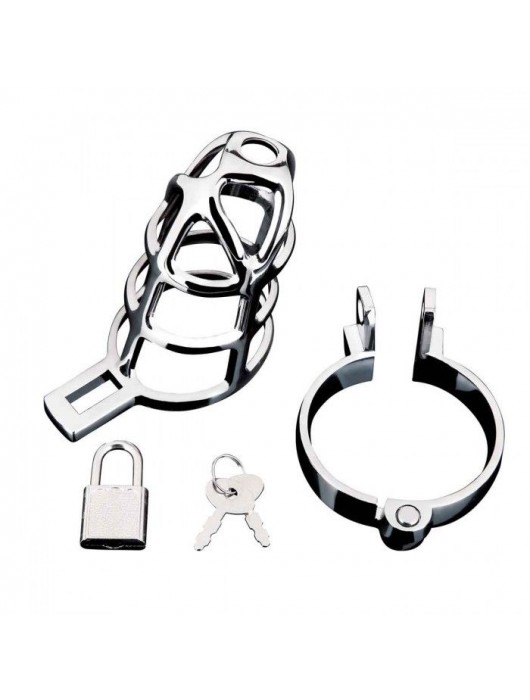 Серебристая металлическая клетка для члена с замком Enslave Cock Cage - BlueLine - купить с доставкой в Старом Осколе