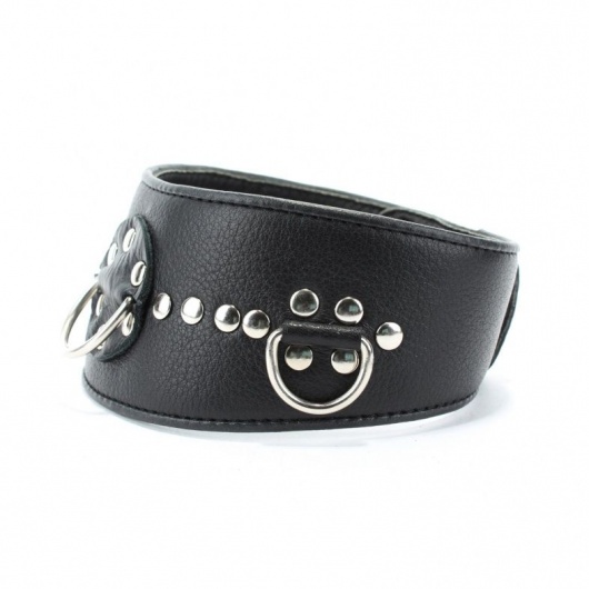 Чёрный кожаный ошейник с полукольцами и клёпками - БДСМ Арсенал - купить с доставкой в Старом Осколе