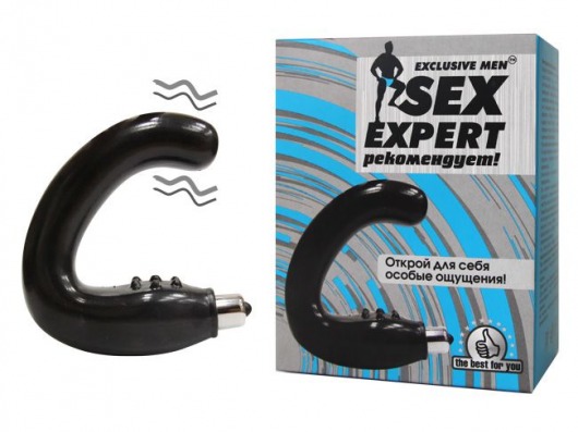 Чёрный массажёр простаты серии Sex Expert - Sex Expert - в Старом Осколе купить с доставкой