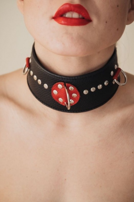 Кожаный ошейник с металлическими клепками - БДСМ Арсенал - купить с доставкой в Старом Осколе