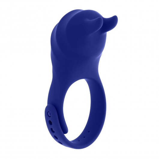 Синее эрекционное виброкольцо с клиторальной подушечкой и пультом ДУ Adjustable Fun Ring - Zero Tolerance - в Старом Осколе купить с доставкой