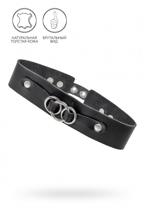 Черный чокер-ошейник со связанными кольцами на подложке - Pecado - купить с доставкой в Старом Осколе