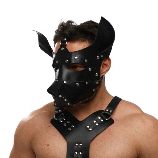 Черная кожаная маска «Собака» - Crazy Handmade - купить с доставкой в Старом Осколе