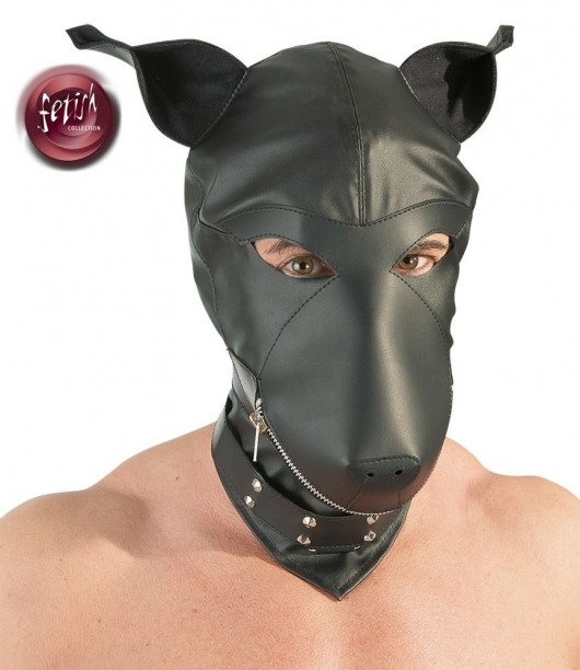 Шлем-маска Dog Mask в виде морды собаки - Orion - купить с доставкой в Старом Осколе