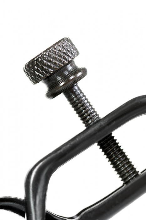 Черно-золотистые зажимы для сосков TOYFA Theatre - ToyFa - купить с доставкой в Старом Осколе