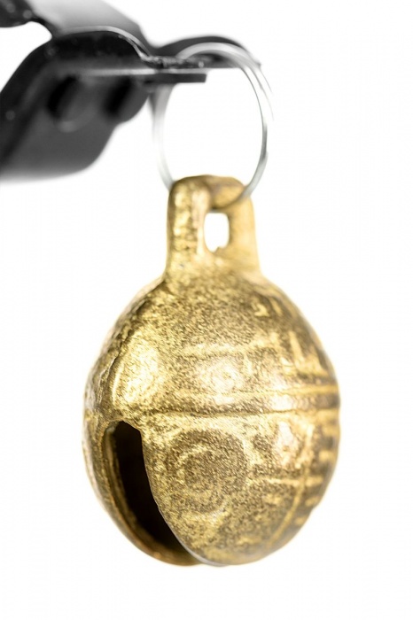 Черно-золотистые зажимы для сосков TOYFA Theatre - ToyFa - купить с доставкой в Старом Осколе